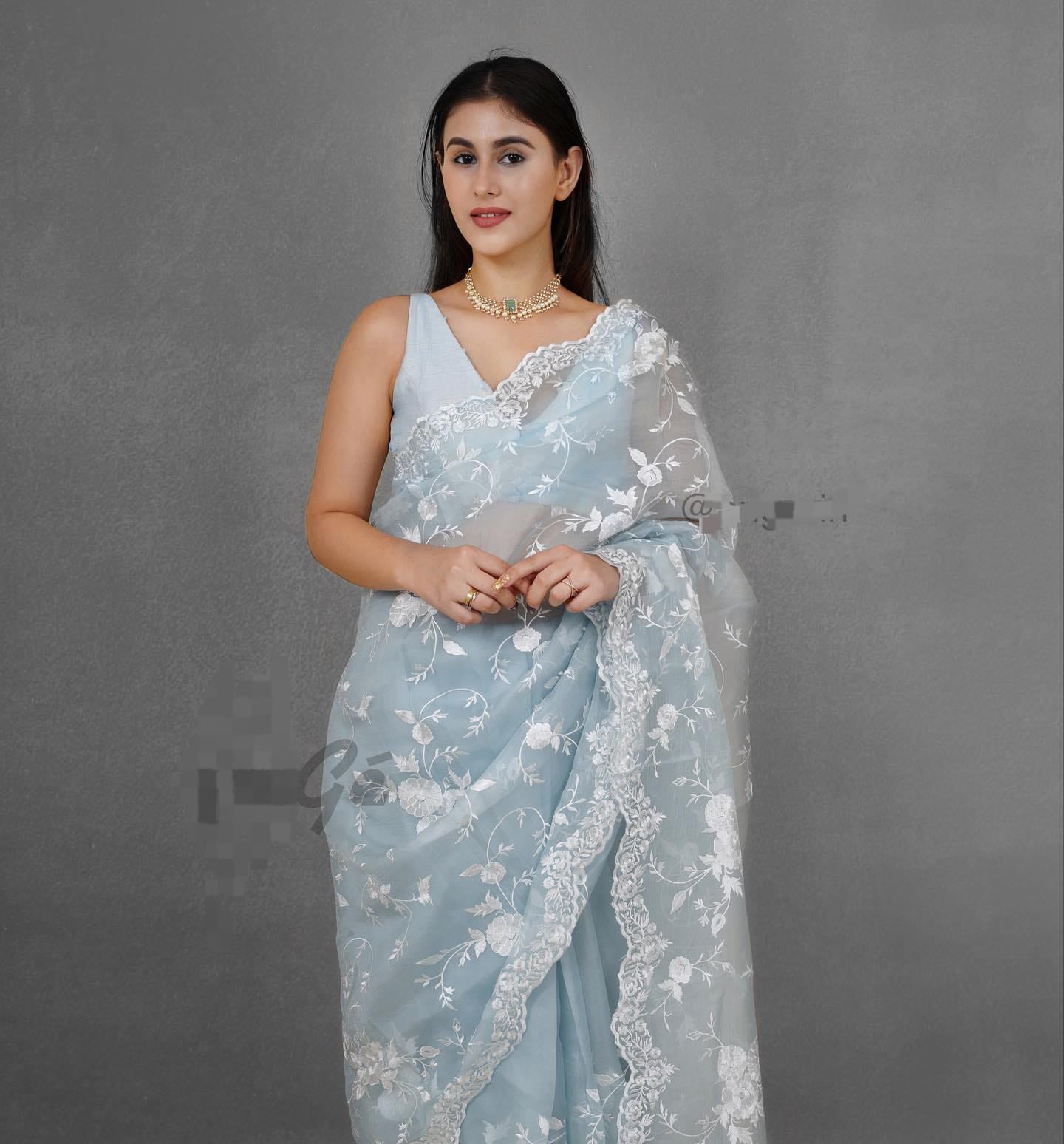 Organza Banarasi Kora Intricate Embroidery