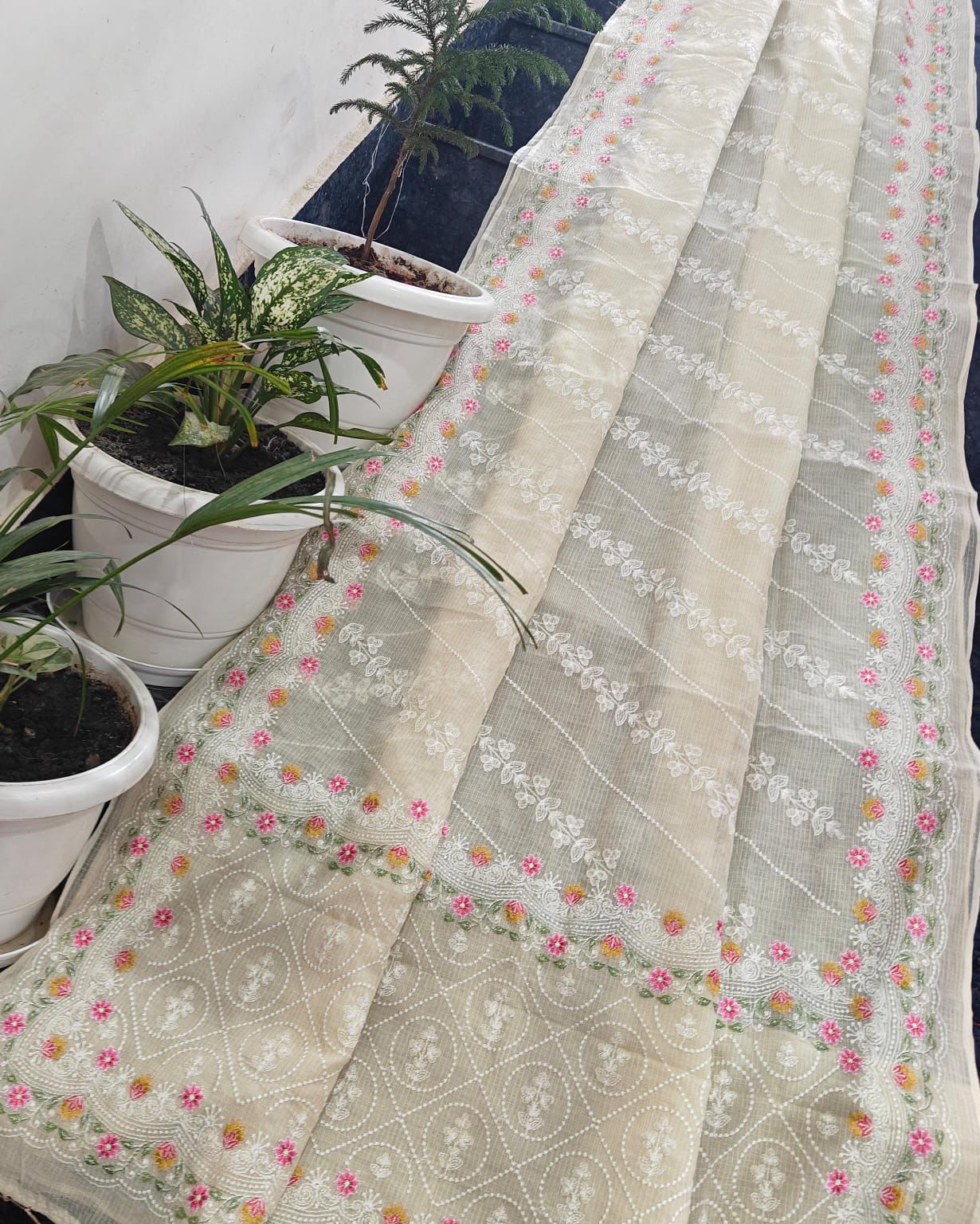 Pure Kota Doriabsaree