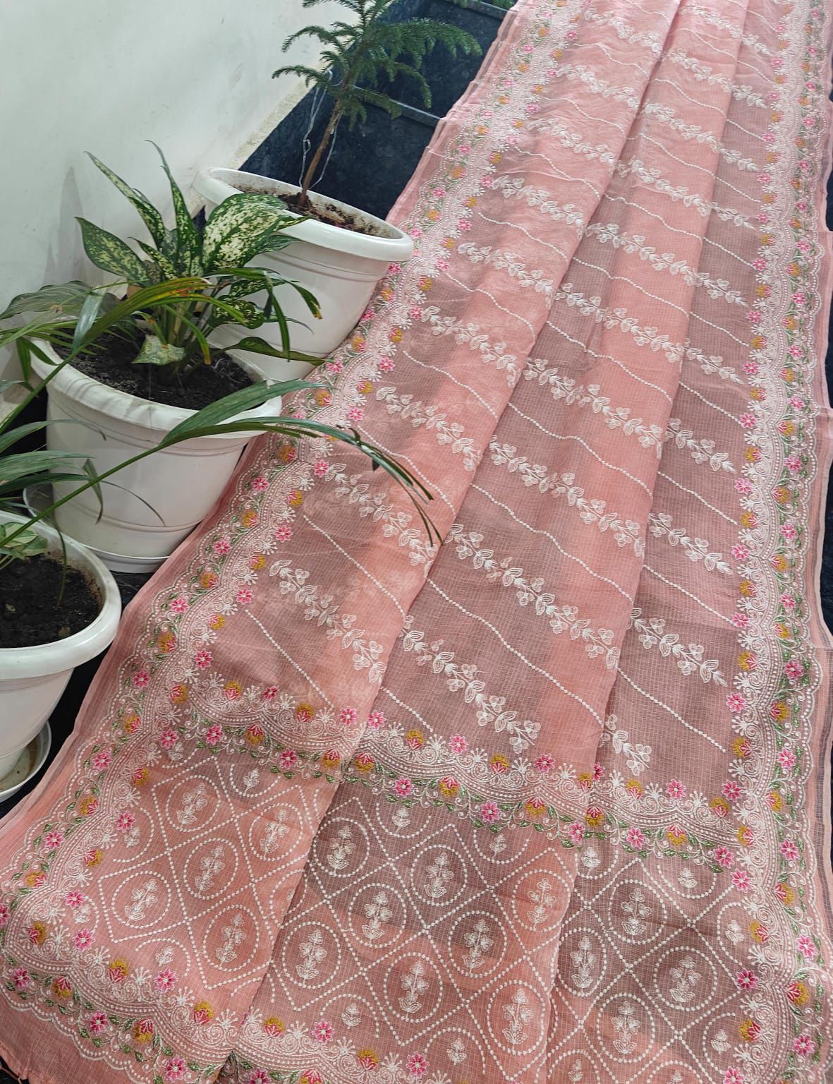 Pure Kota Doriabsaree