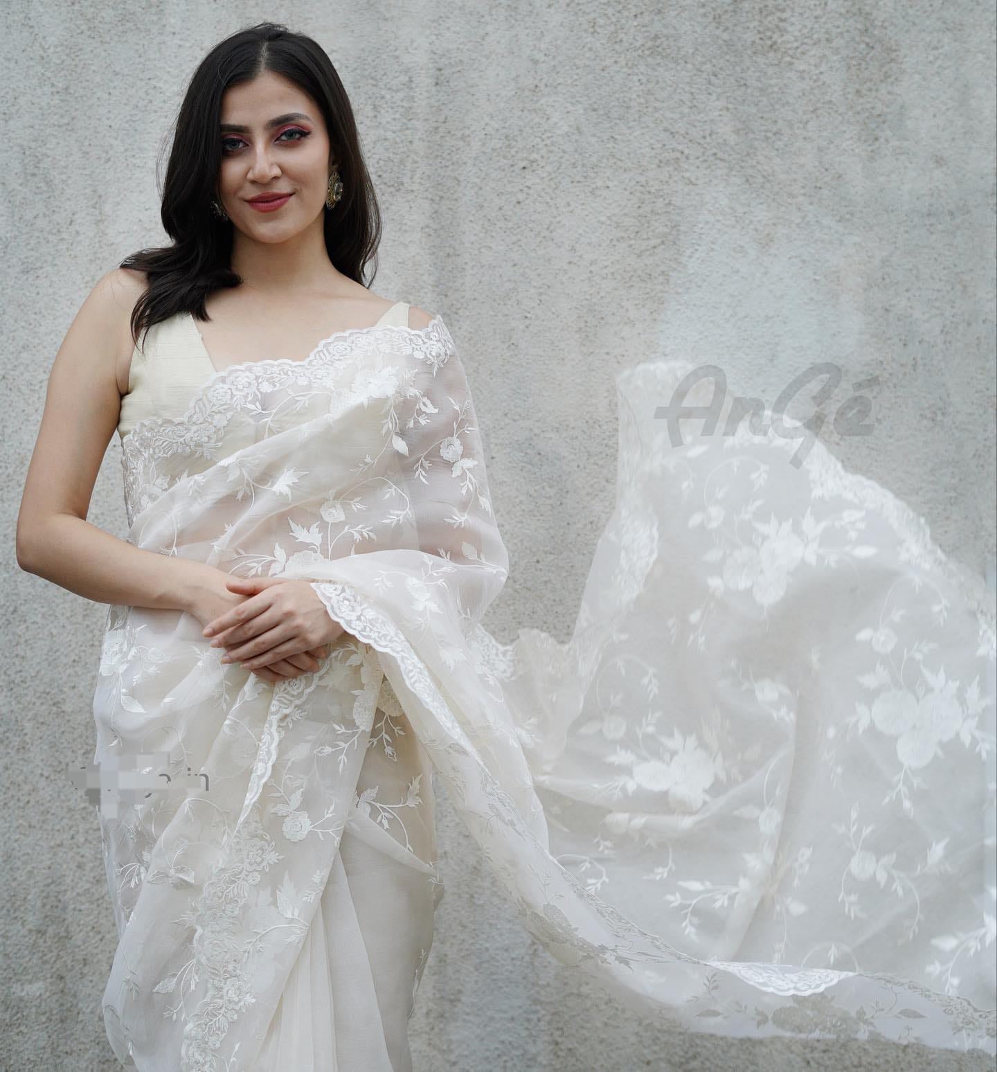Organza Banarasi Kora Intricate Embroidery